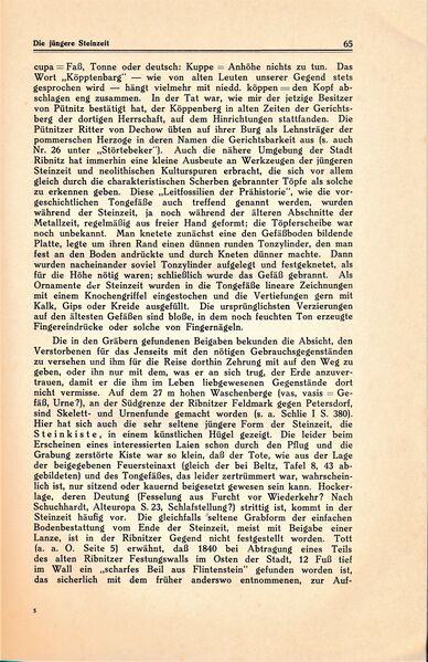 Datei:Ribnitz Kühl 065.jpg