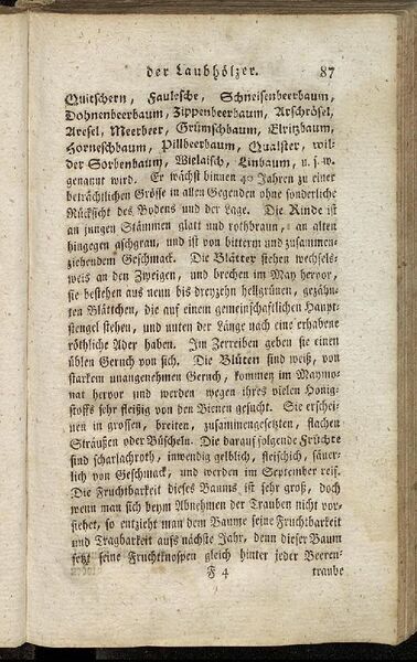 Datei:Fiedler Handbuch Forstwirtschaft 1796-096.jpg