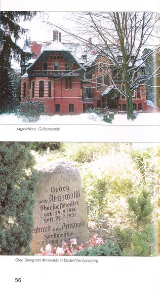 Datei:ML Gelbensander Forst 56.jpg