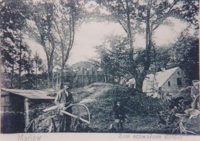 Datei:MarlowBT16.jpg