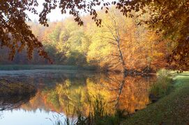 Kloster-Fischteich bei Parkentin