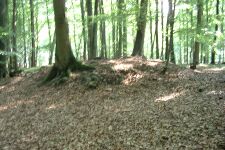 Klein Upahl-KA Dobbertin 906 (2002).jpg