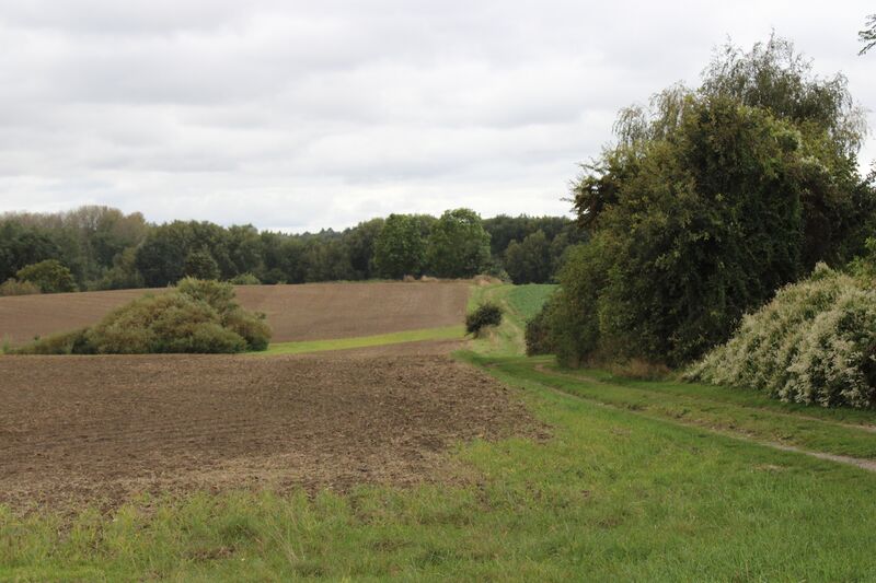 Datei:MarlowBT14.jpg