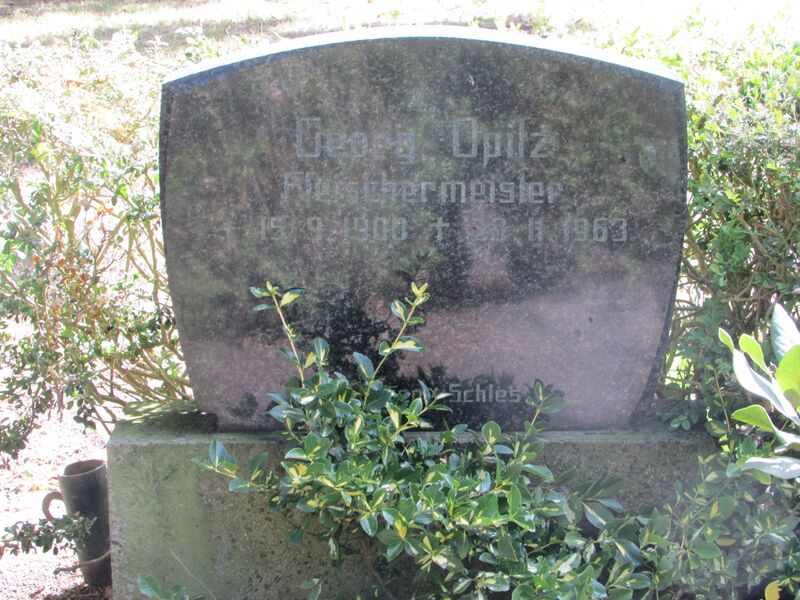 Dob2066.JPG