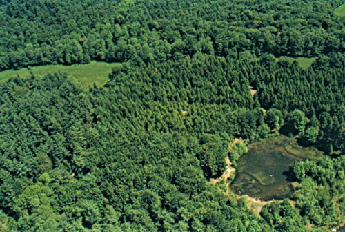 Willershagen Willershagen Rev mittelst Wisch am Haubach und Wendfeldsberg (Foto: Wilfried Steinmüller 2002)