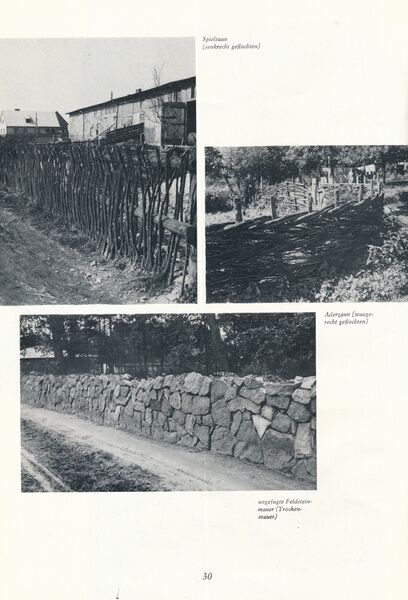 Datei:Baumgarten Bauernhausfibel 1 1983 30.jpg
