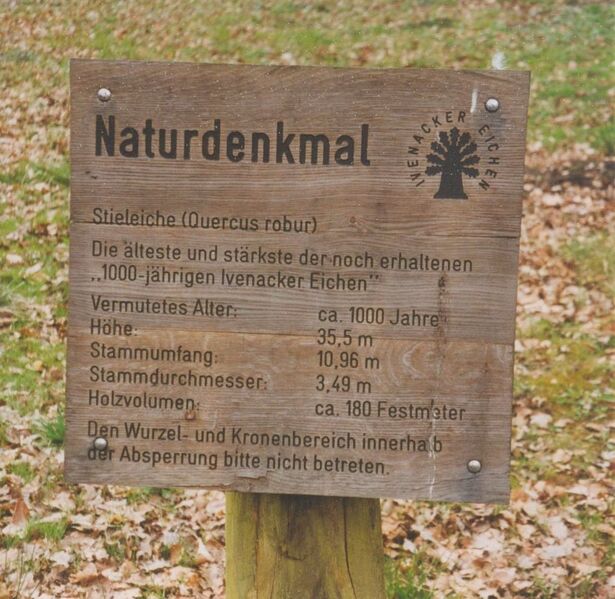 Datei:Ivenack 2.jpg