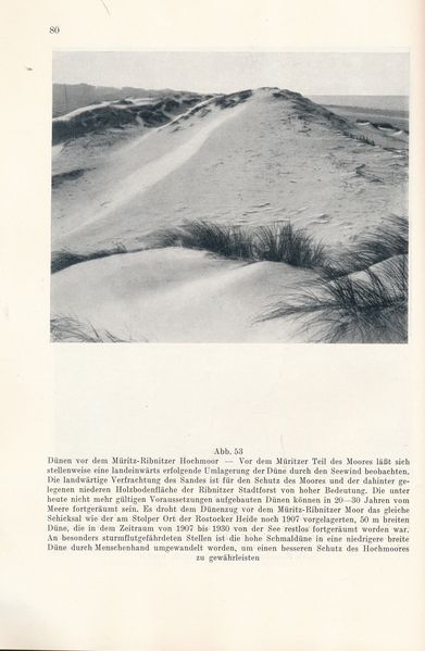 Datei:Kolp Nordöstliche Heide 0080.jpg
