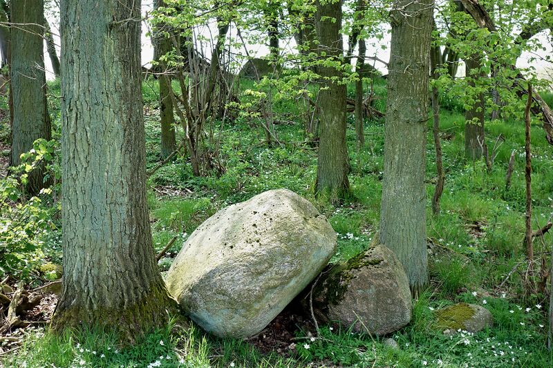 Datei:Hünengräber Stormsdorf 3.jpg
