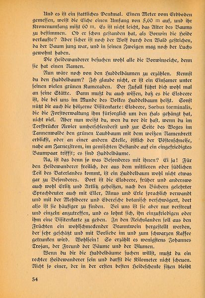 Datei:Ahrens Kleinod 54.jpg