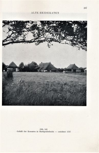 Datei:Kolp Nordöstliche Heide 0207.jpg