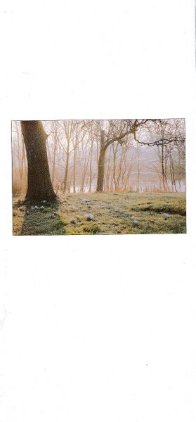 Datei:Mönche nach hiddensee kamen 33.jpg