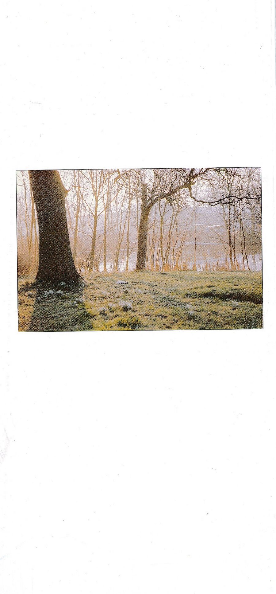 Als die Mönche nach Hiddensee kamen 1296 Inselpastor Manfred Domrös 1996 33