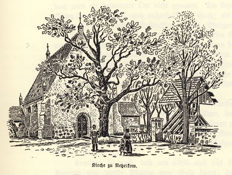 Datei:Netzelkow.jpg