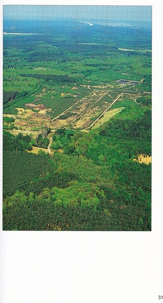 Datei:Rostocker Heide Meckl Landsch 31.jpg