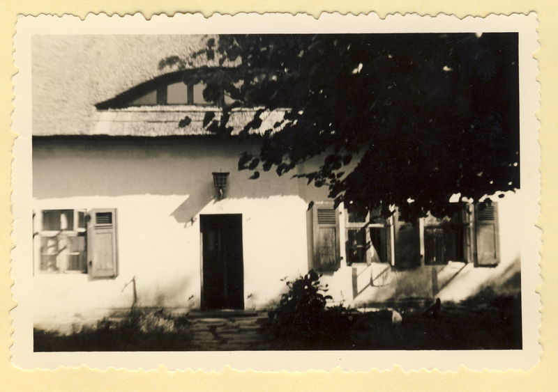 Datei:1951 Peenestr 21.jpg