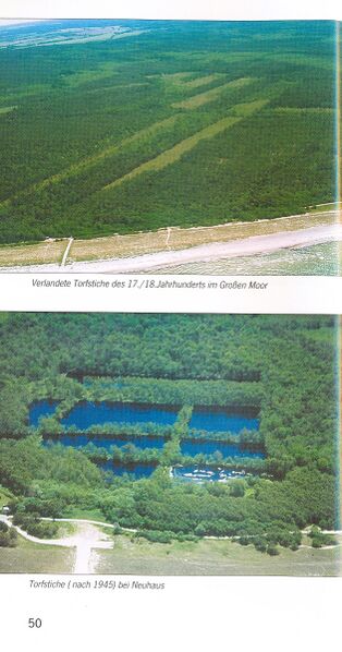 Datei:ML Gelbensander Forst 50.jpg