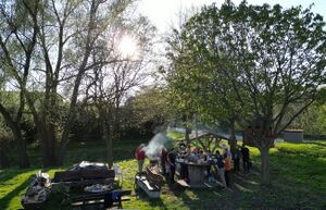 20.04.25-5.jpg