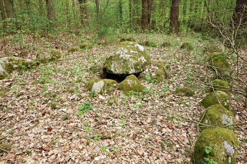 Datei:Hünengräber Barkvieren 2.jpg