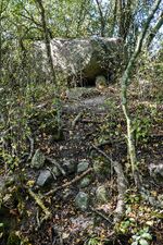 Hünengräber Feldhusen 3.jpg
