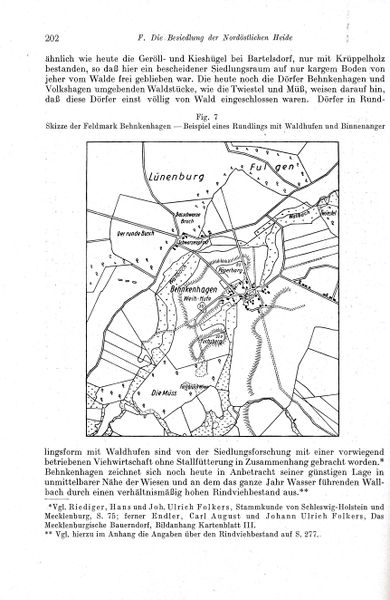 Datei:Kolp Nordöstliche Heide 0202.jpg