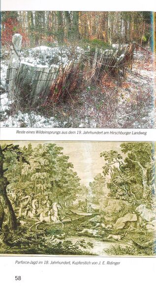 Datei:ML Gelbensander Forst 58.jpg