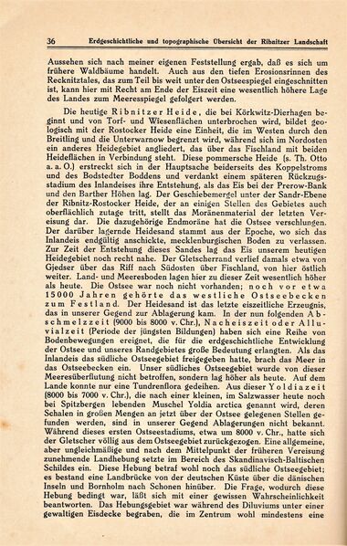 Datei:Ribnitz Kühl 036.jpg