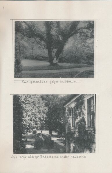 Datei:Wittenhagen Wossidlo 1911 05.jpg