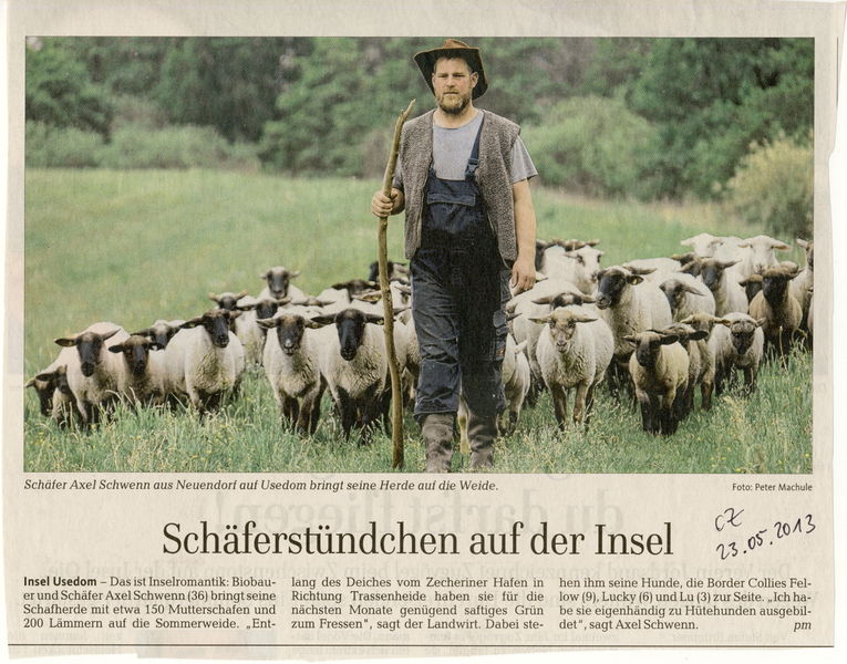 Datei:2013 Schäfer.jpg