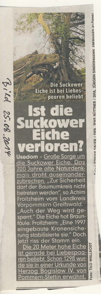 Datei:2014 Eiche Bild.jpg