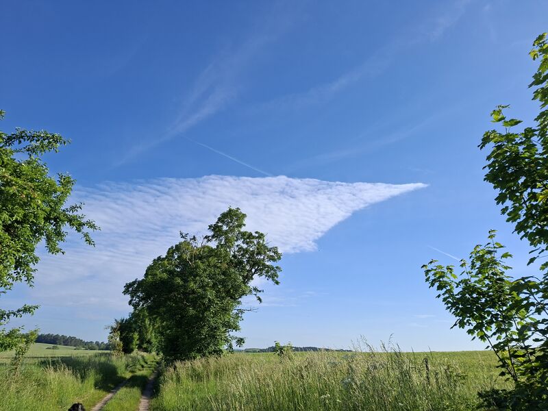 Datei:Eickelberg-Impressionen 12.jpg