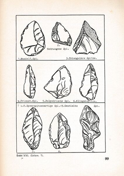 Datei:Fischland Bastian Boddenfund 099.jpg