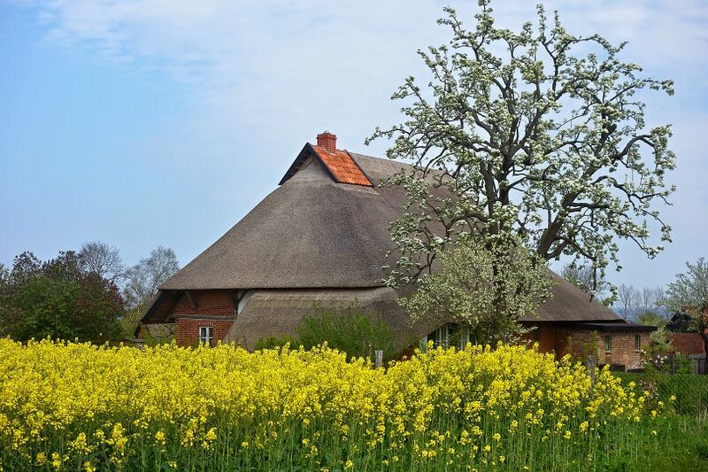 Datei:Fotopa Hoben K (2).jpg