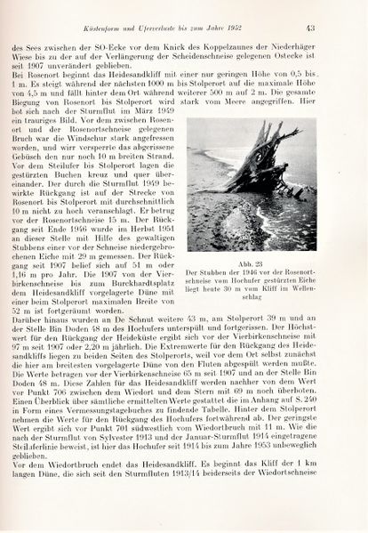 Datei:Kolp Nordöstliche Heide 0043.jpg