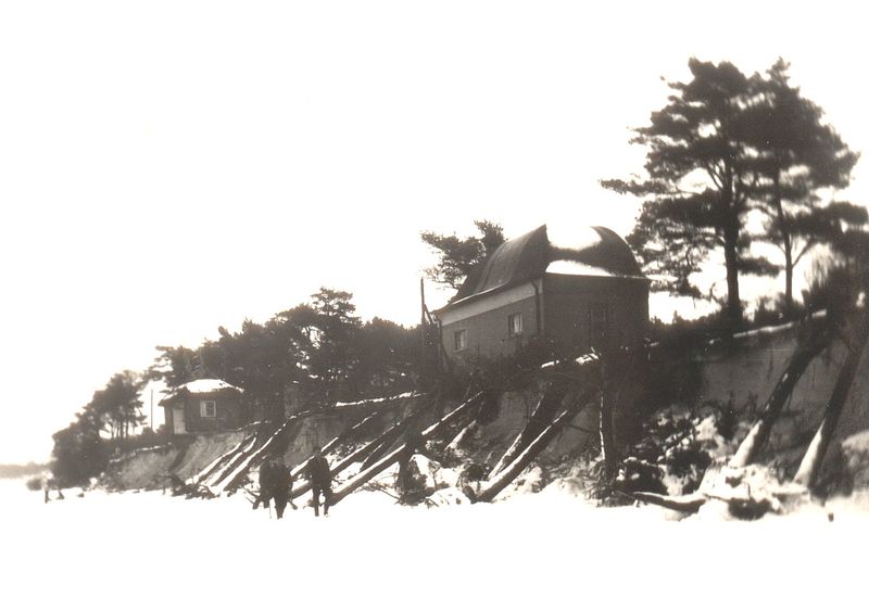 Datei:Zempin 1971 Bäume unten Kurm.jpg