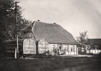 Dob1245.jpg