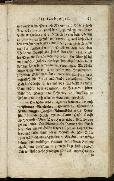 Datei:Fiedler Handbuch Forstwirtschaft 1796-074.jpg