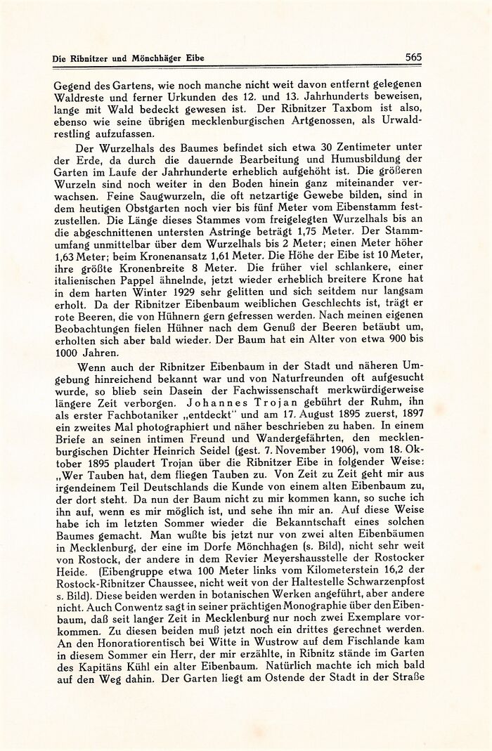 Kühl Ribnitz 565