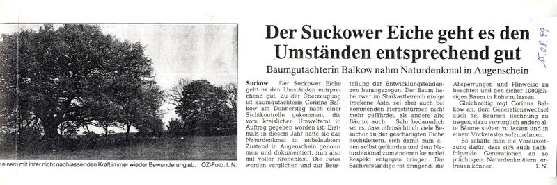 Datei:1999 Eiche.jpg
