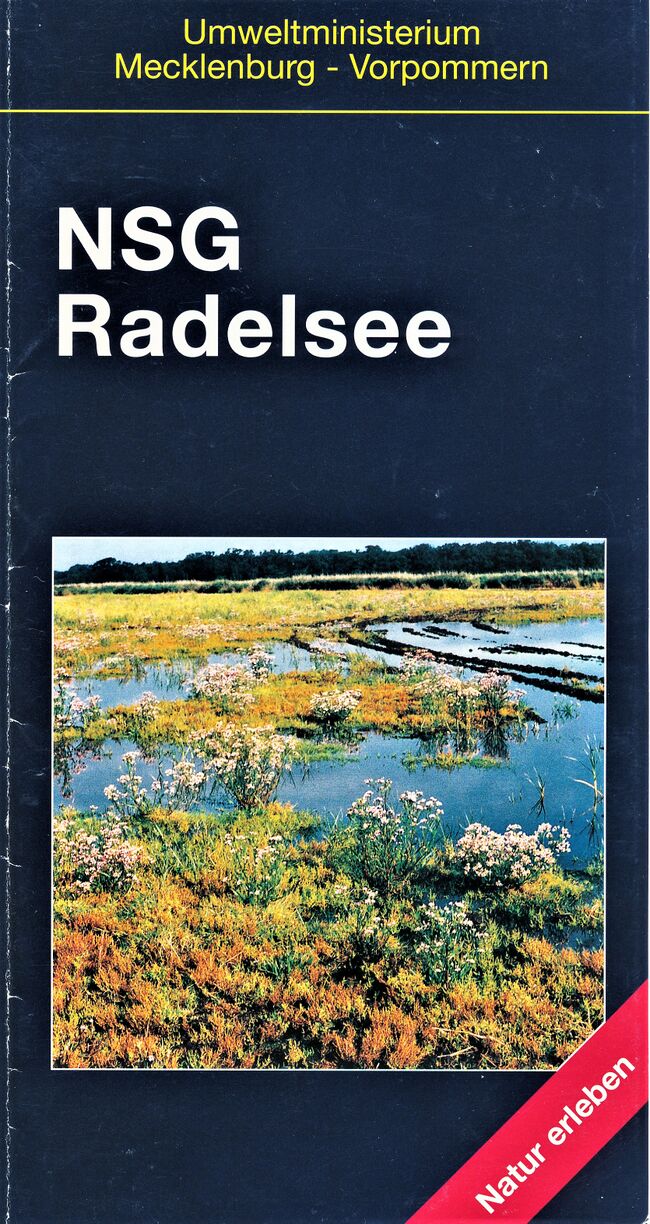 RH SFA Radelsee_Flyer 01