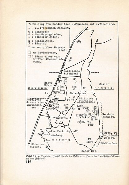 Datei:Fischland Bastian Boddenfund 116.jpg