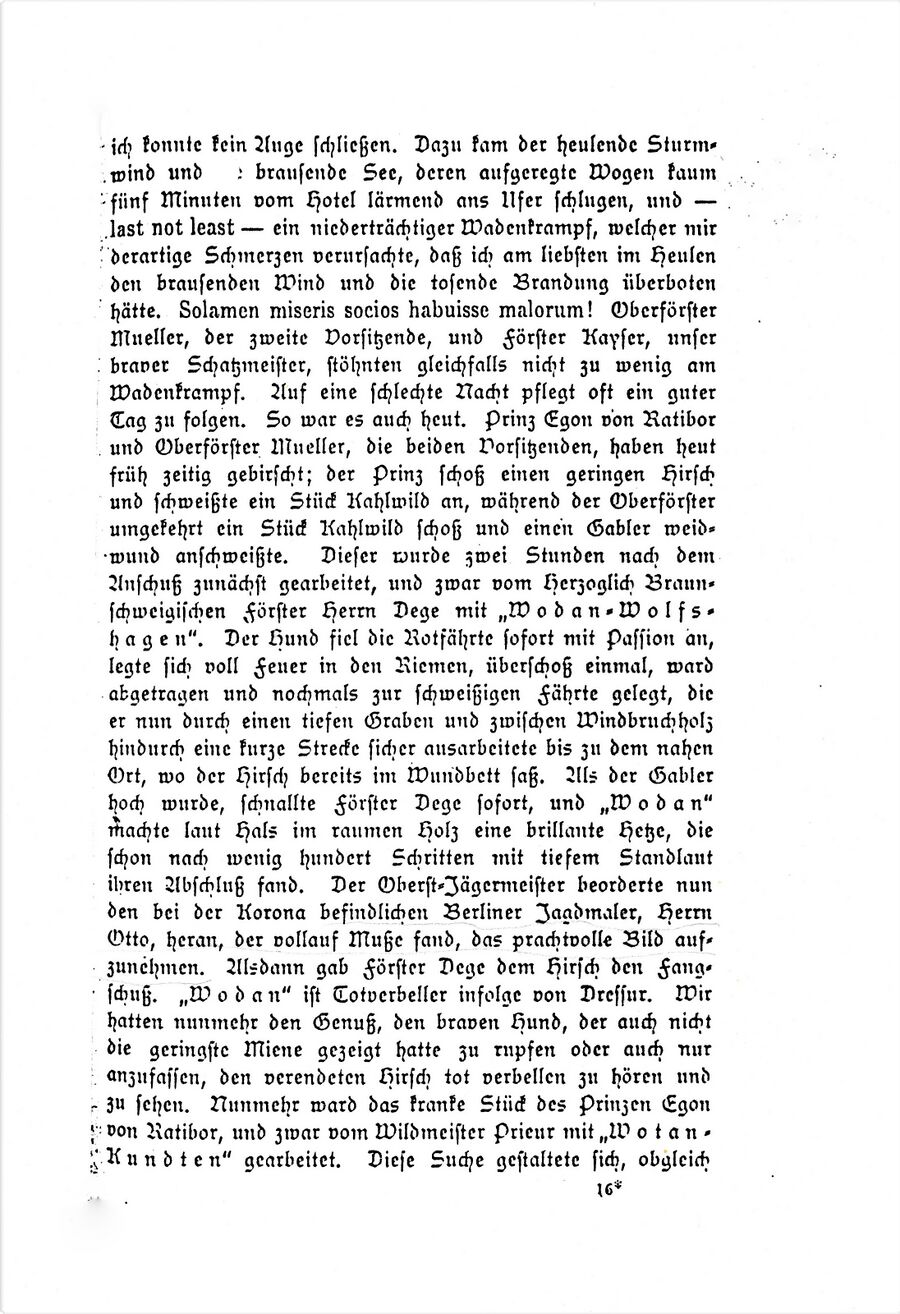 Gelb Forst Ausflug Reichs-Jagdhundeverein 18951 04