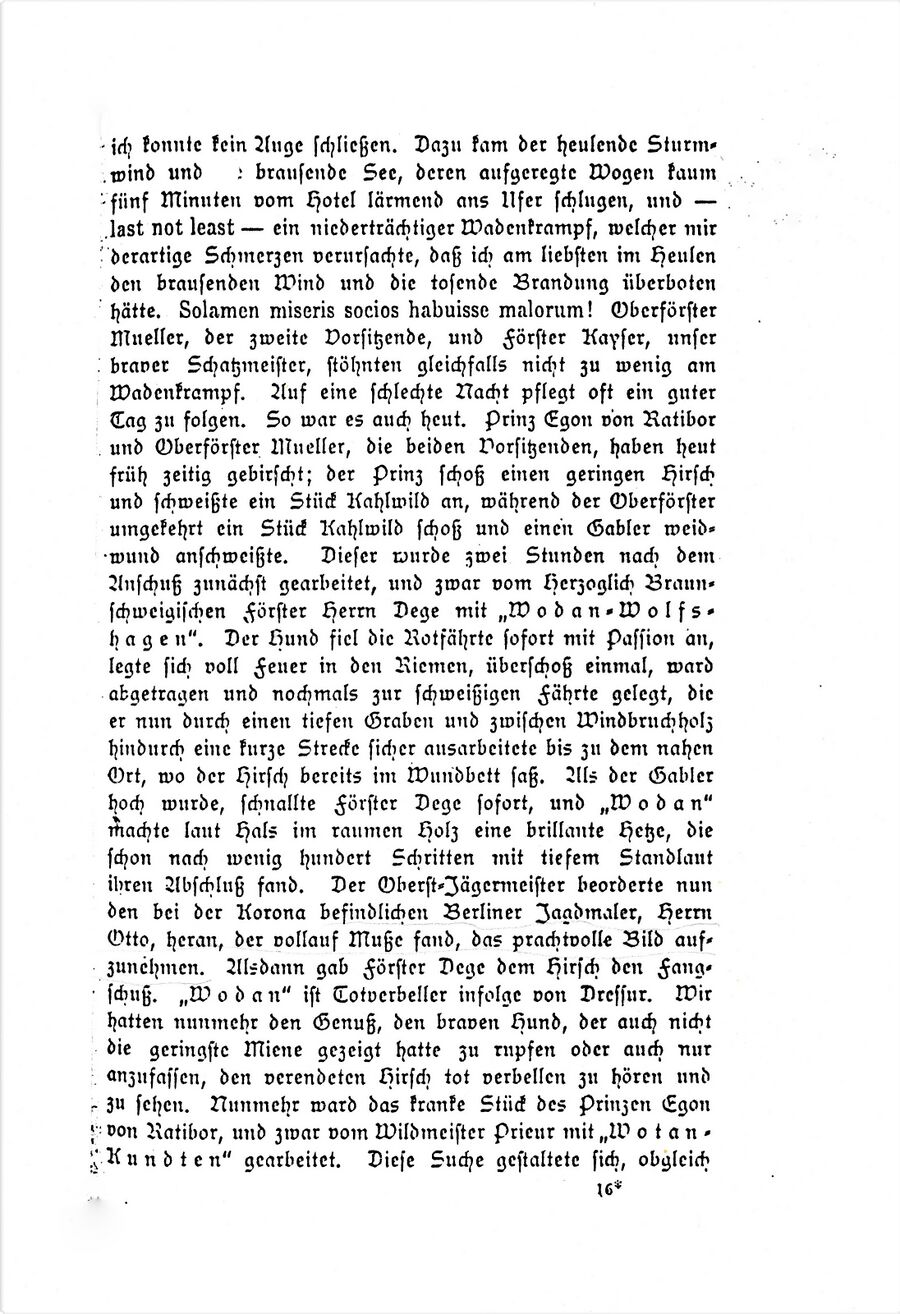 Gelb Forst Ausflug Reichs-Jagdhundeverein 18951 04