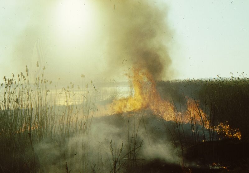 Datei:Rohr abbrennen 02.jpg
