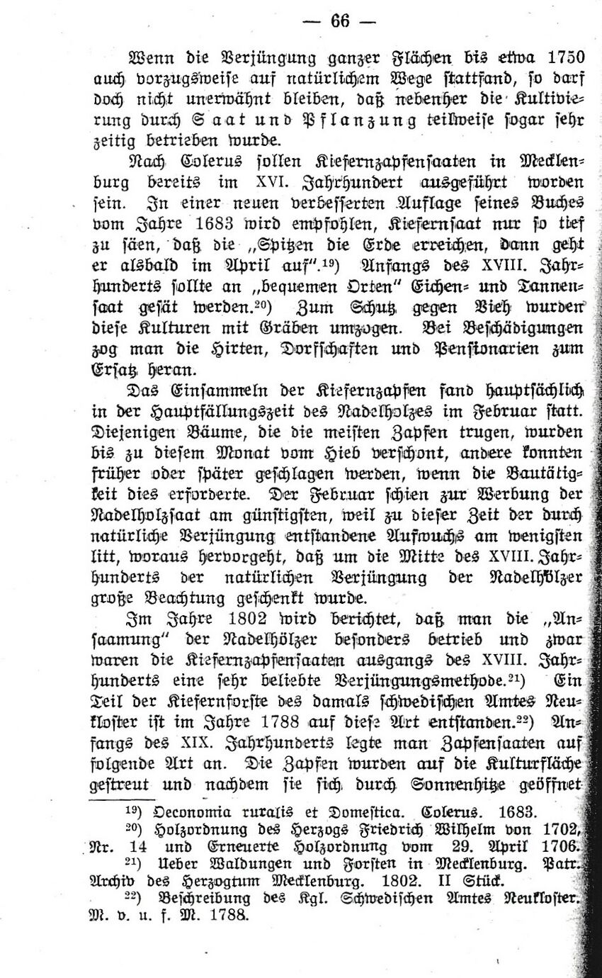 1921 Parchmann Meckl Forstw 066