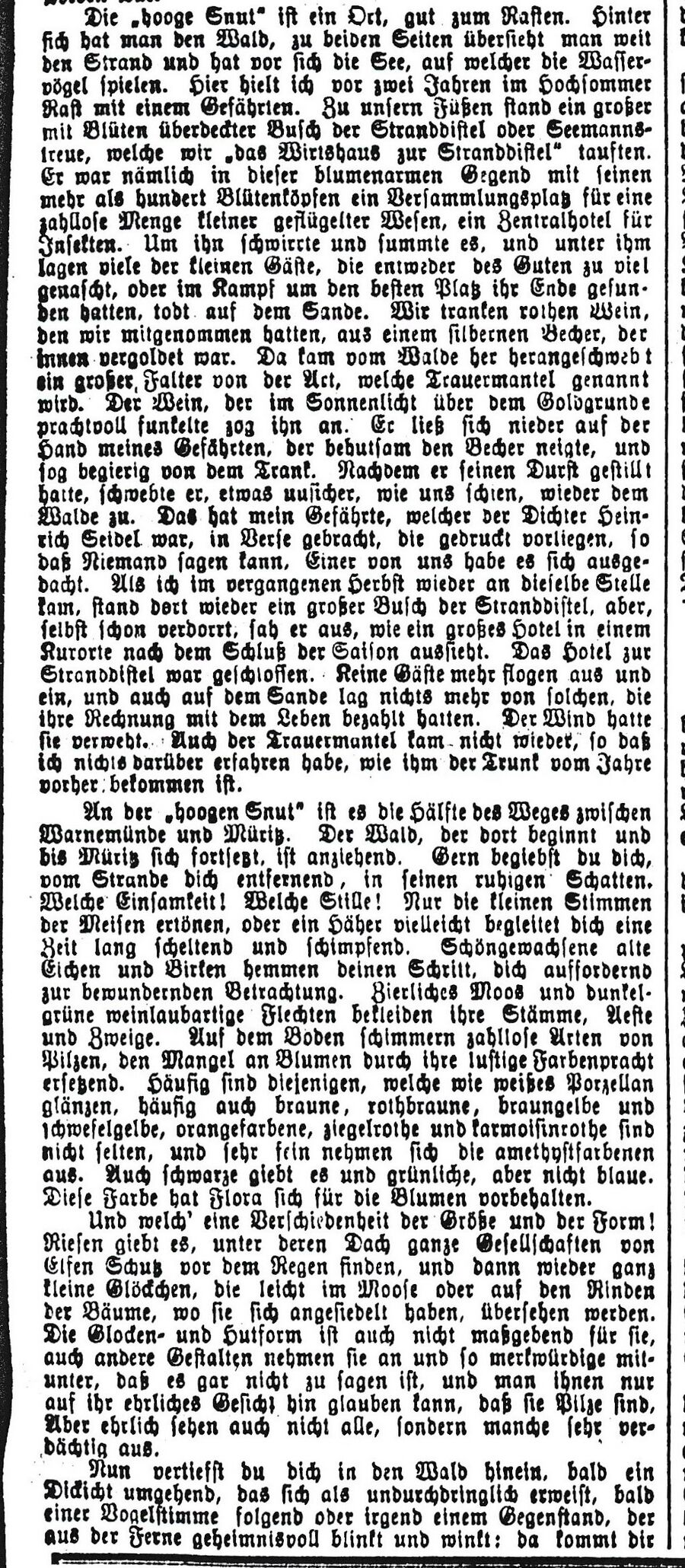 RH J_Trojan Aus der Rostocker Heide 1884 05