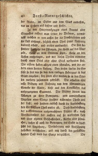 Datei:Fiedler Handbuch Forstwirtschaft 1796-049.jpg