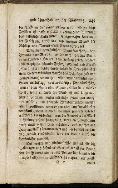 Datei:Fiedler Handbuch Forstwirtschaft 1796-258.jpg