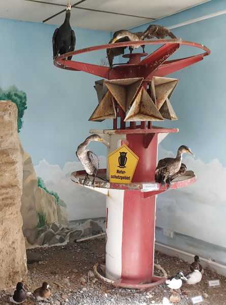 Datei:Greifswalder Oie Vögel.jpg