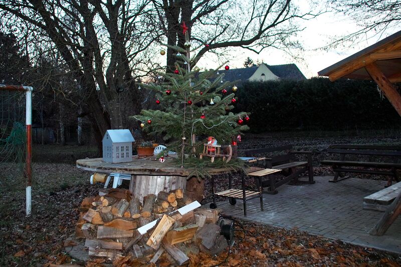 Datei:Baum 2022 3.jpg